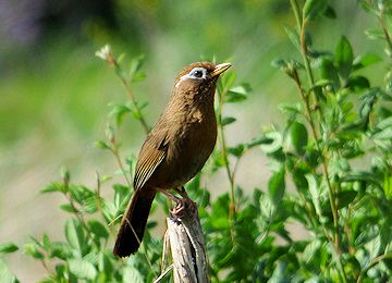 �K�r�`���E